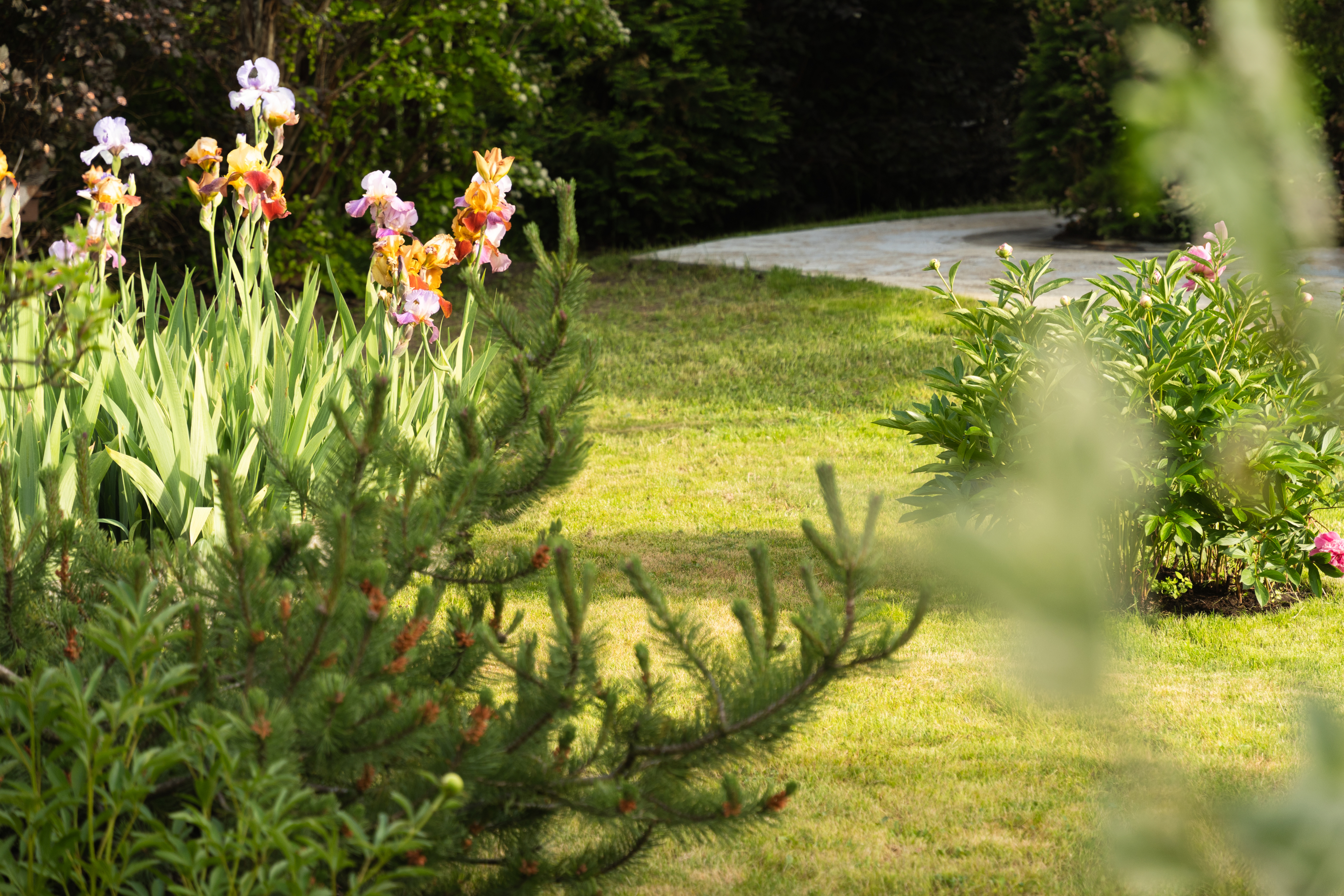 Flo Green landscape design plans