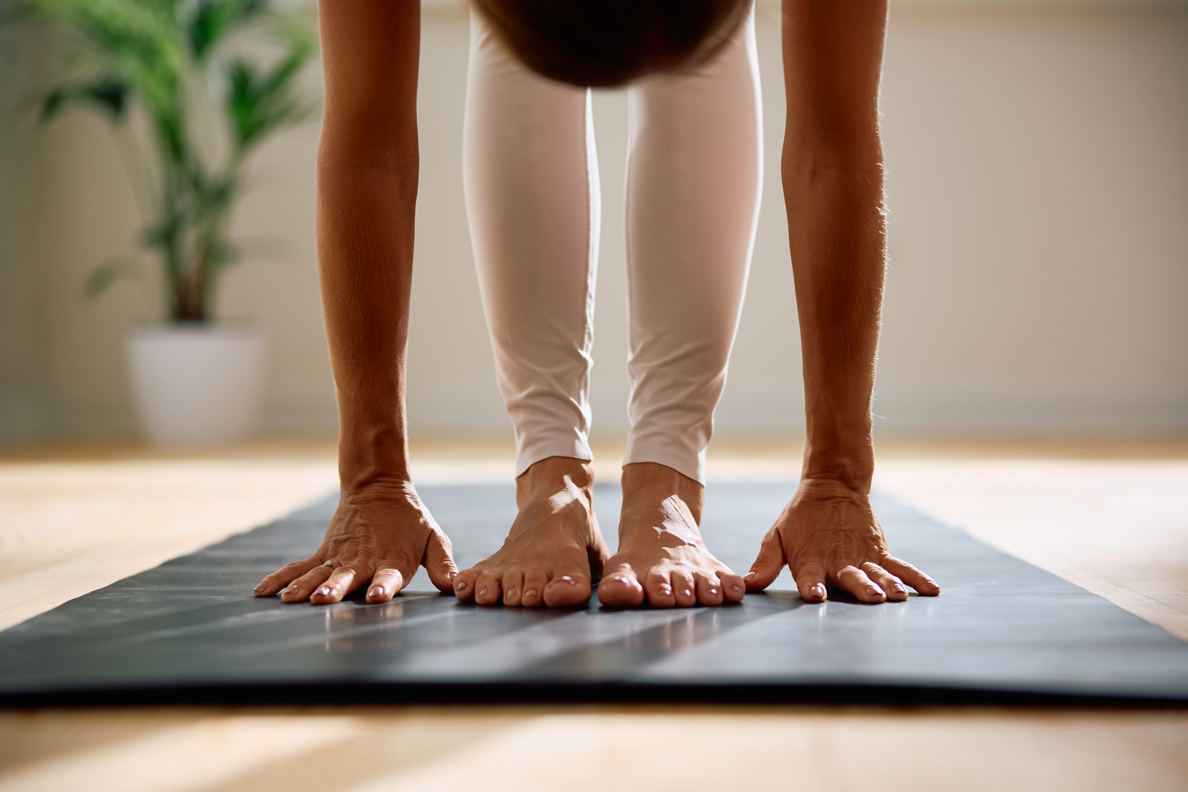 Beginner Yoga class